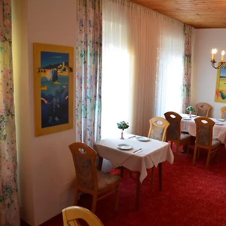 Drei Schweizer Hotel فندق نيوفيد