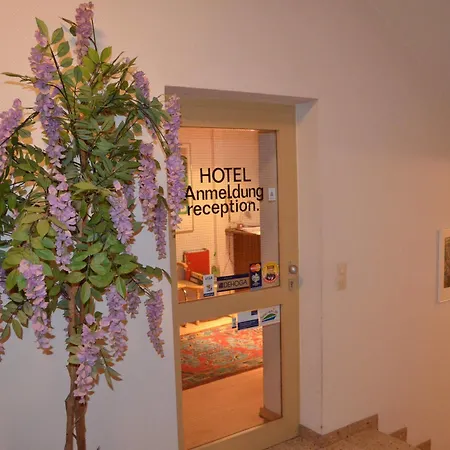 Drei Schweizer Hotel فندق نيوفيد