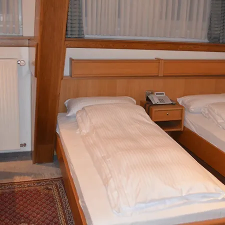 Drei Schweizer Hotel فندق