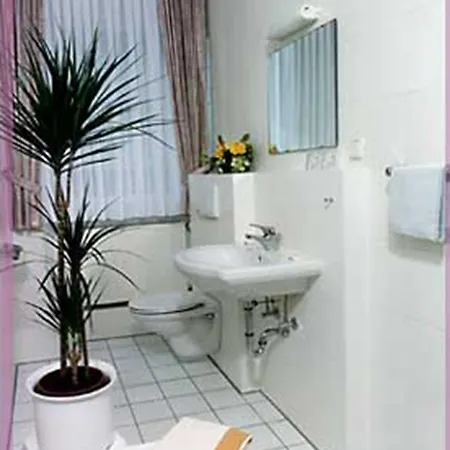 فندق Drei Schweizer Hotel 2*