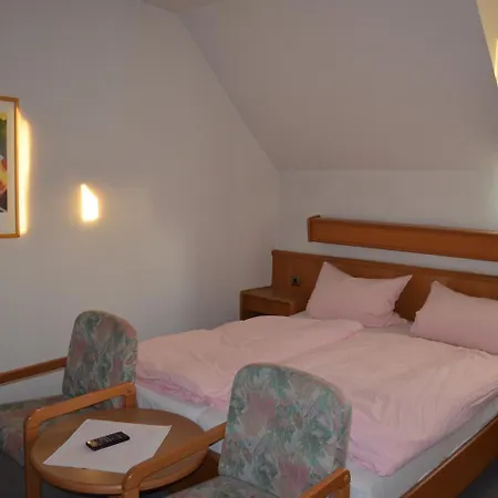 Drei Schweizer Hotel فندق نيوفيد