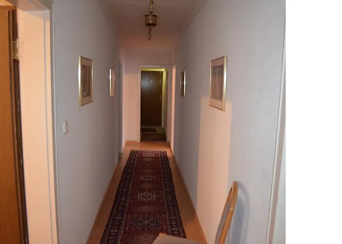 ホテル Drei Schweizer 2*