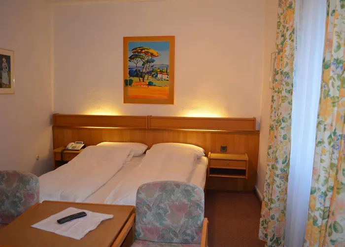 ホテル Drei Schweizer