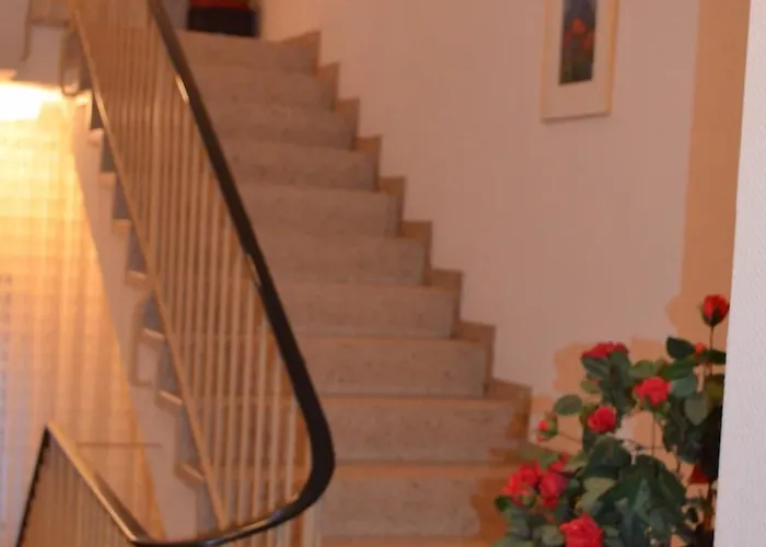 ホテル Drei Schweizer ノイヴィート