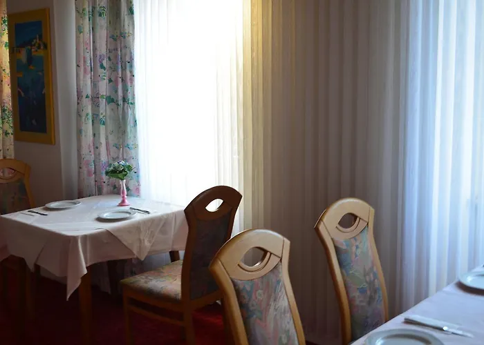 Drei Schweizer ホテル 2*