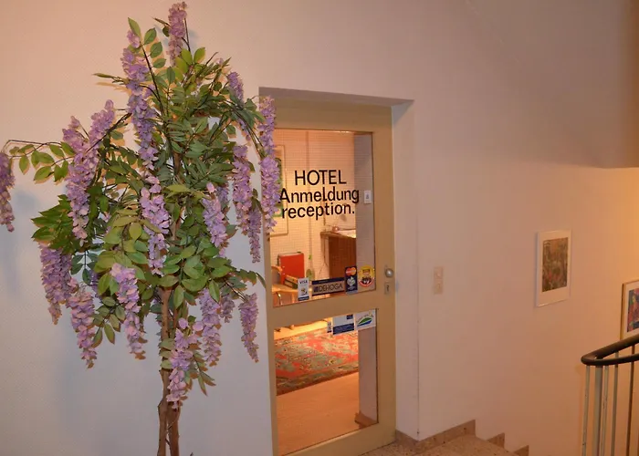 Drei Schweizer ホテル ノイヴィート