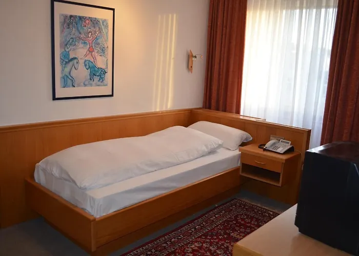 Drei Schweizer ホテル