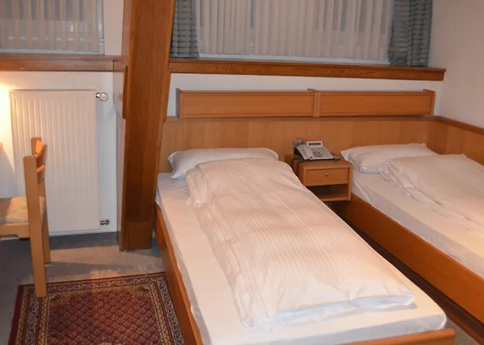 Drei Schweizer ホテル