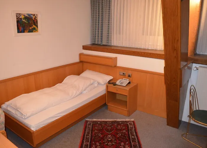 Drei Schweizer ホテル 2*