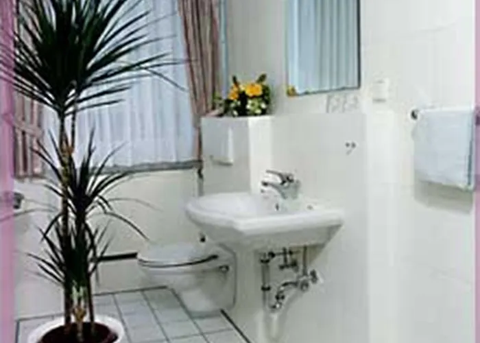 ホテル Drei Schweizer 2*