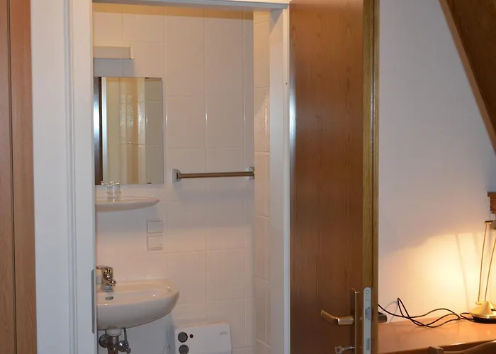 ホテル Drei Schweizer ノイヴィート