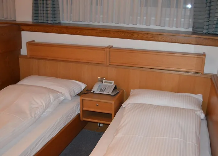 Drei Schweizer ホテル